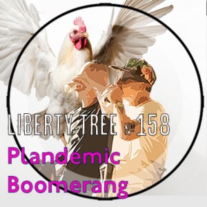 Plandemic Boomerang