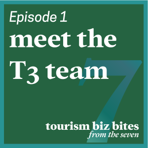 Meet the T3 Team