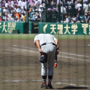 The Koshien High School Baseball Tournament Of Japan