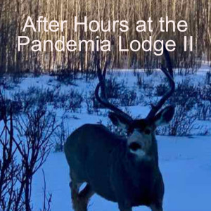 E3 After Hours at the Pandemia Lodge II