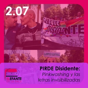 2.07 PRIDE Disidente: Pinkwashing y las letras invisibilizadas