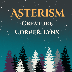 Lynx: Creature Corner