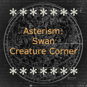 Asterism: Swan Creature Corner