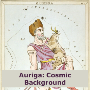 Auriga: Cosmic Background