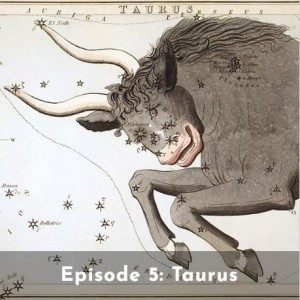 Taurus: The Bull