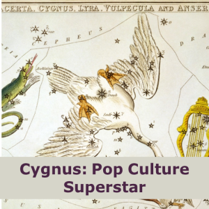 Cygnus: Pop Culture Superstar