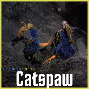 S02 E07 - Catspaw