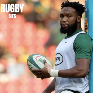 Springboks v Portugal preview with Francisco Isaac