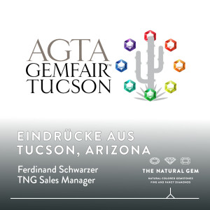 #20: Eindrücke aus Tucson - Arizona, USA. Die Tucson Gemfair mit Ferdinand Schwarzer.