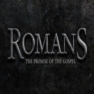 Romans, The Promise of the Gospel - Week 20