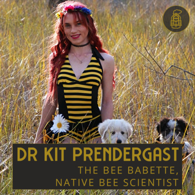 Native bees and biological taxonomy with Dr Kit Prendergast (#34)