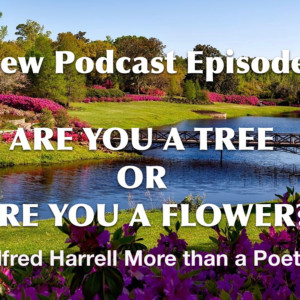 ARE YOU A TREE OR ARE YOU A FLOWER?