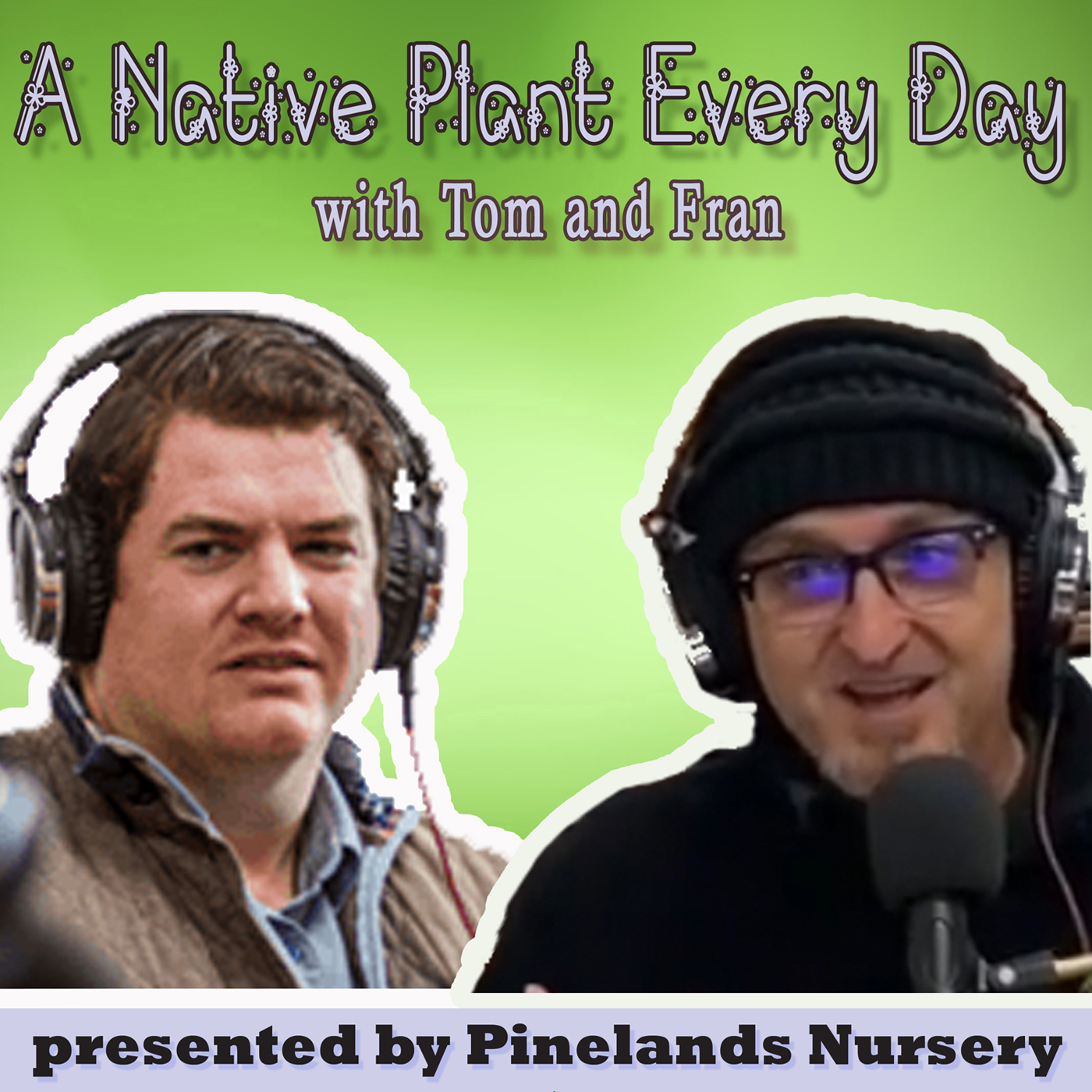 A Native Plant Every Day