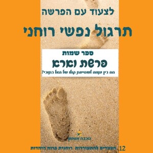 לצעוד עם פרשת וארא איך להתמודד עם המציאות? עולם גשמי או עולם רוחני