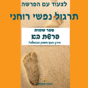 איך להבין שהכאב בא לעורר אותנו לשינוי?