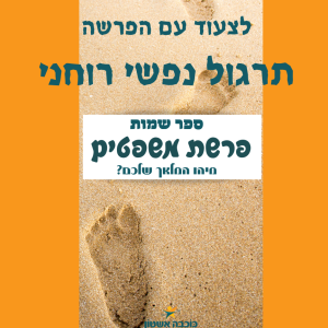 ״לצעוד עם פרשת משפטים :״למצוא את הוואו