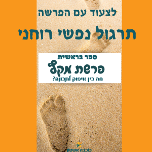 לצעוד עם פרשת מקץ איך נופלים וקמים מייאוש?