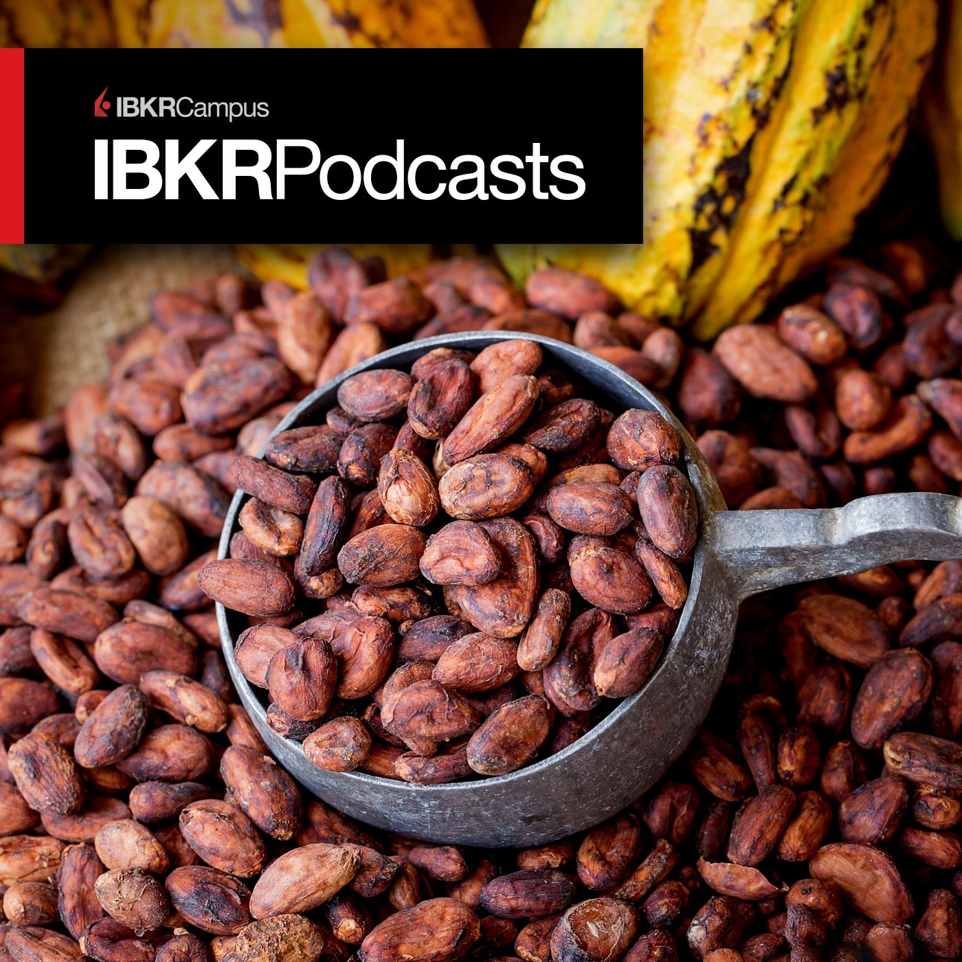 ‘Cuckoo’ for Cocoa Futures?