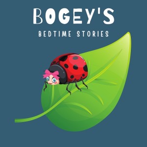 Ladybug
