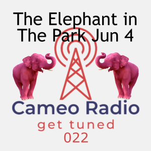 0022 Elephant in The Park Jun 4