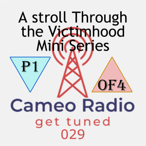 0029 Part One - A stroll Through the Victimhood Mini Series