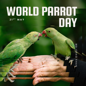 Boond#244: World Parrot Day - 31st May