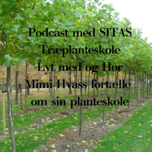 Podcast Med Mimi Hvass fra SITAS Træplanteskole d. 10. Juli 2023
