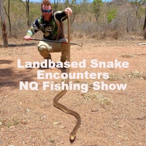Landbased Snake Encounters  NQ Fishing Show