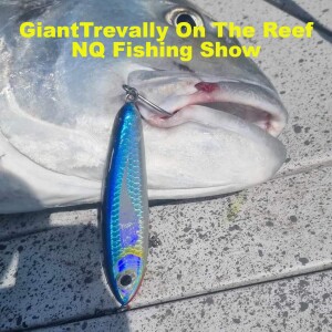 Giant Trevally On The Reef NQ Fishing Show