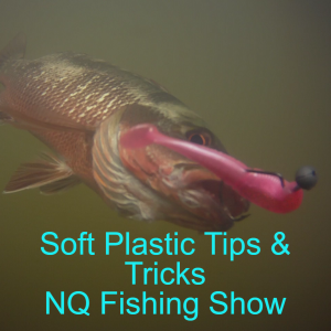 Soft Plastic Tips & Tricks NQ Fishing Show