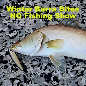 Winter Barra Bites NQ Fishing Show