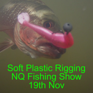 Soft Plastic Rigging NQ Fishing Show 19th Nov