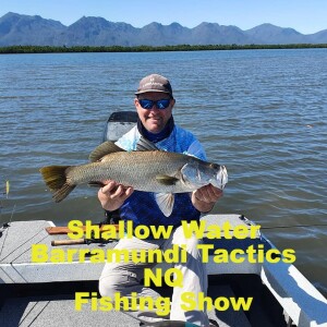 Shallow Water Barra Tactics NQ Fishing Show