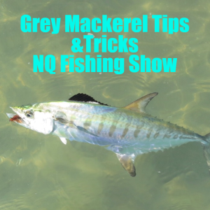 Grey Mackerel Tips NQ Fishing Show