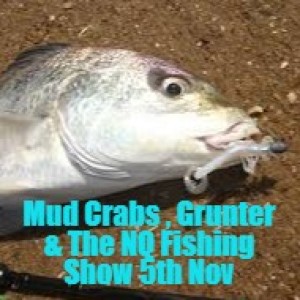 Mud Crabs , Grunter & The NQ Fishing Show 5th Nov