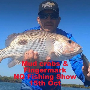 Mud crabs & Fingermark NQ Fishing Show 15th Oct