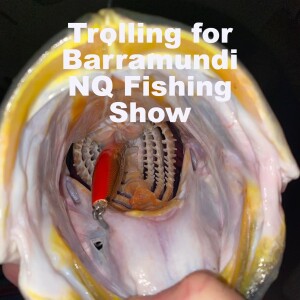 Barramundi Trolling Techniques NQ Fishing Show