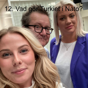 12. Vad gör Turkiet i Nato?