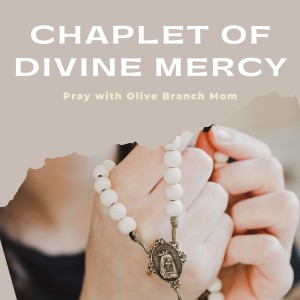 Pray the Chaplet of Divine Mercy