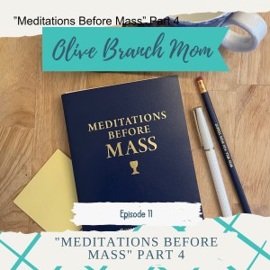 ”Meditations Before Mass” Part 4