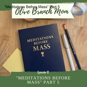 ”Meditations Before Mass” Part 5