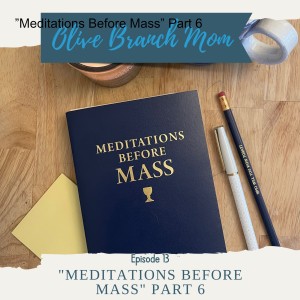 ”Meditations Before Mass” Part 6