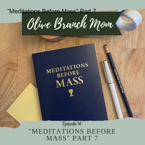 ”Meditations Before Mass” Part 7