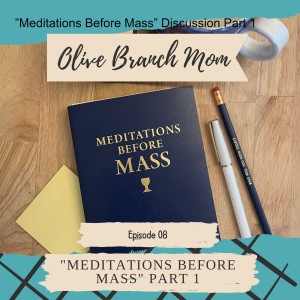 ”Meditations Before Mass” Discussion Part 1