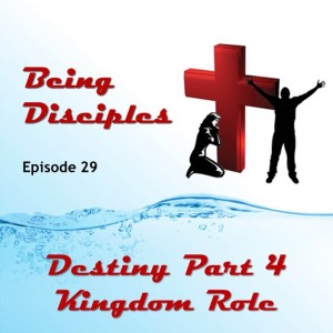 Destiny Part 4 - Kingdom Role