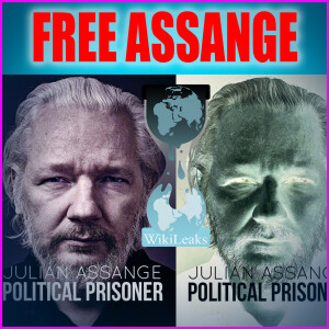 FREE ASSANGE NOW!!!