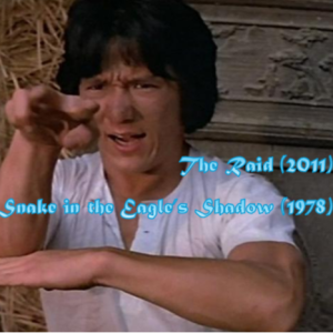 The Raid (2011) and Snake in the Eagle's Shadow (1978)