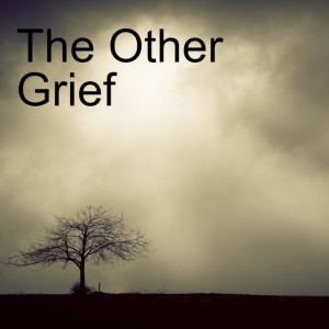 The Other Grief