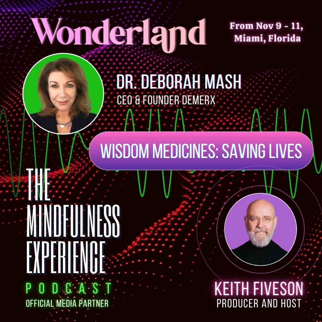 THE MINDFULNESS EXPERIENCE
