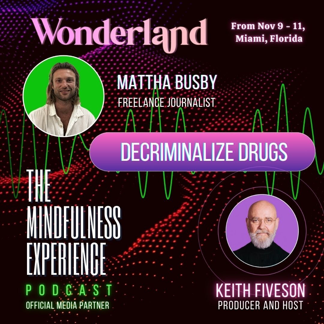 THE MINDFULNESS EXPERIENCE